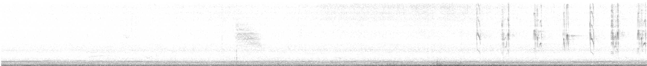 Tropical Gnatcatcher - ML630972622
