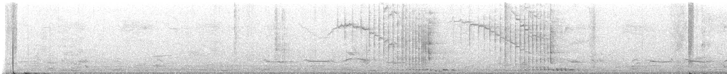 チャバラオオツリスドリ - ML630973478