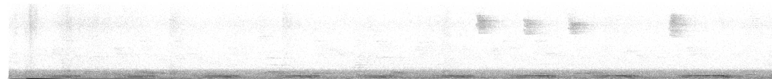 Rock Pigeon (Feral Pigeon) - ML630974421