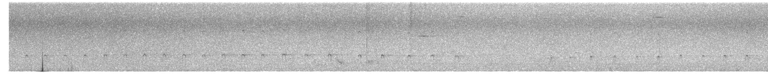 シンジュトビ - ML630975196