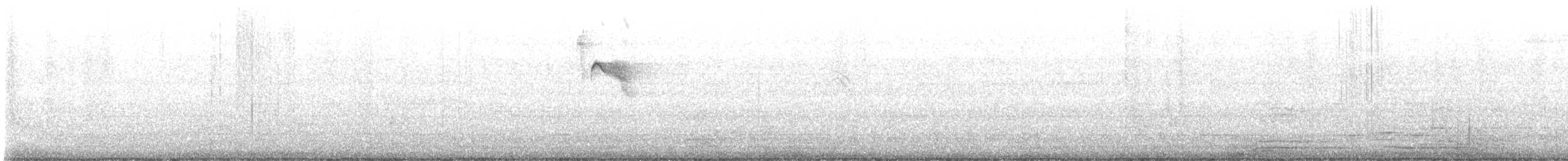 Variegated Flycatcher - ML630976101