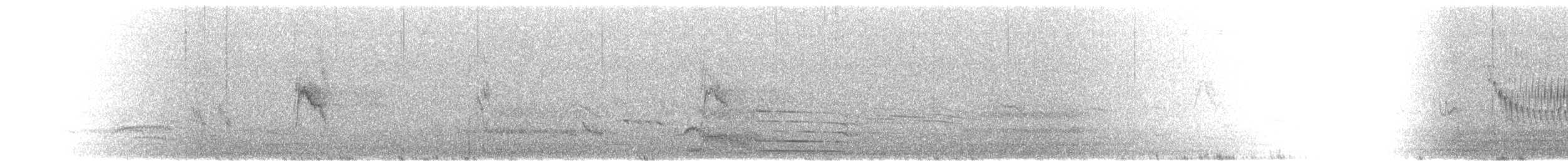 New Zealand Pipit - ML630978611