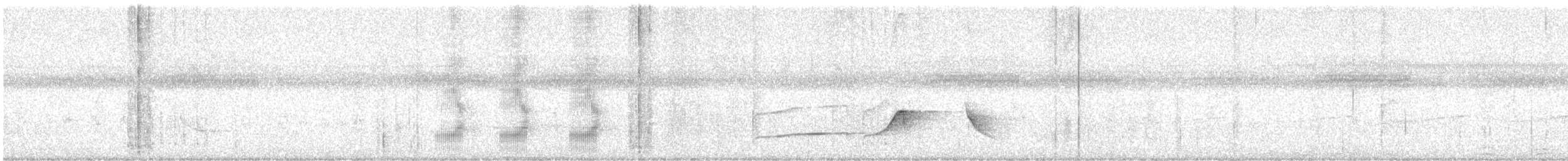 Black-tailed Tityra - ML630980917