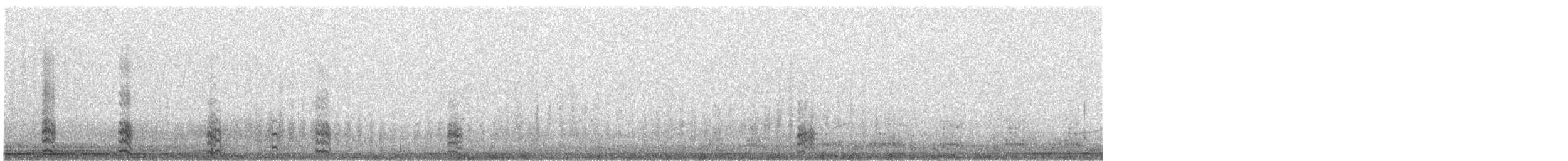Graubrust-Höhenläufer - ML630982502