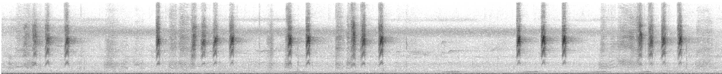 White-eared Monarch - ML630983028