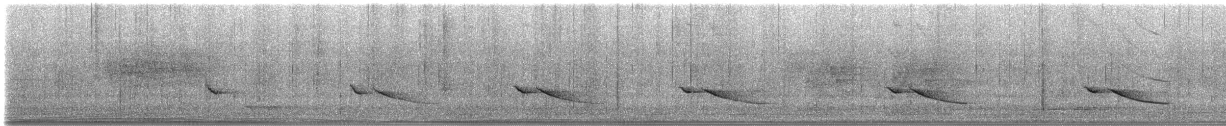 White-eared Monarch - ML630983044