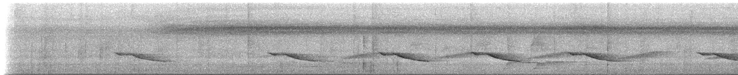 White-eared Monarch - ML630983139