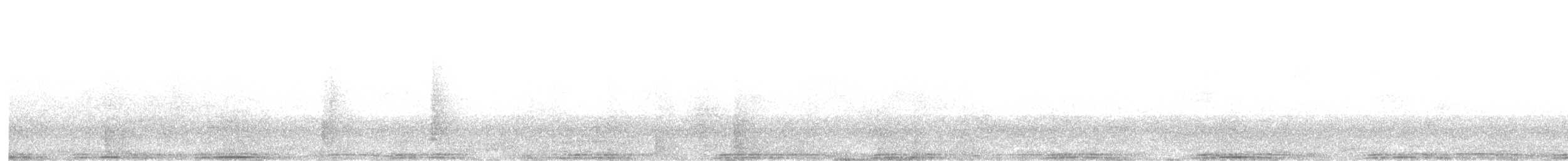 Rock Pigeon (Feral Pigeon) - ML630983448