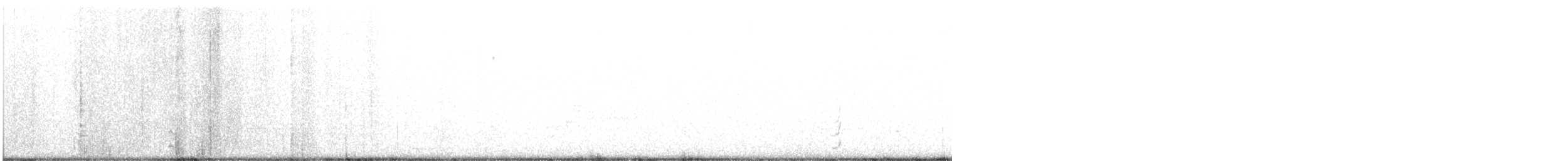 Wilson's Plover - ML630987194