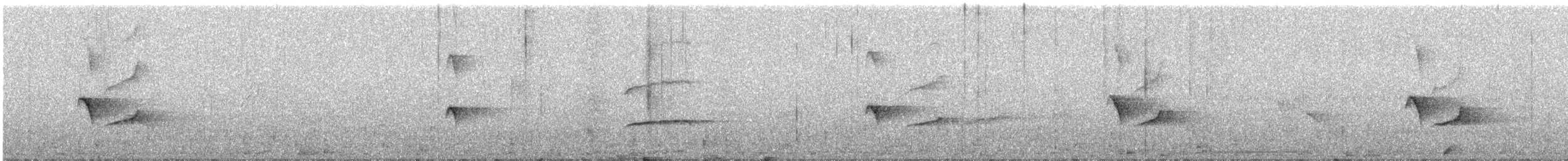 drongo šedobřichý - ML630993670