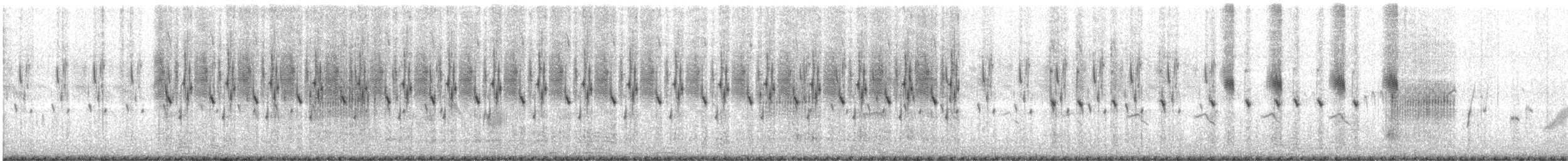 Delicate Prinia - ML630995976