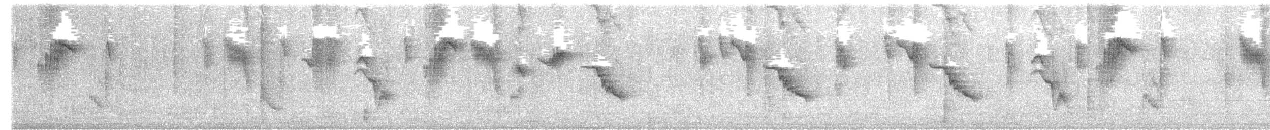 Fiscal Flycatcher - ML630996005