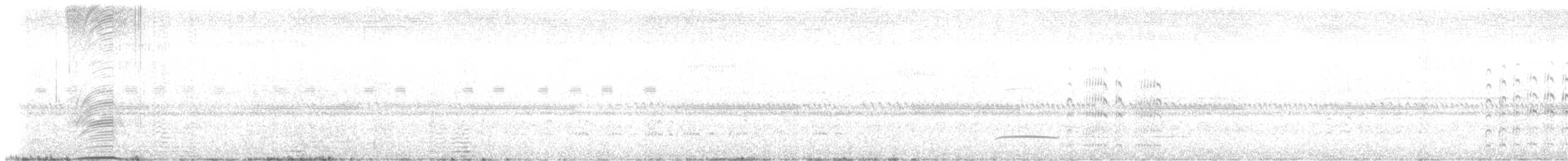Bush Thick-knee - ML630997322