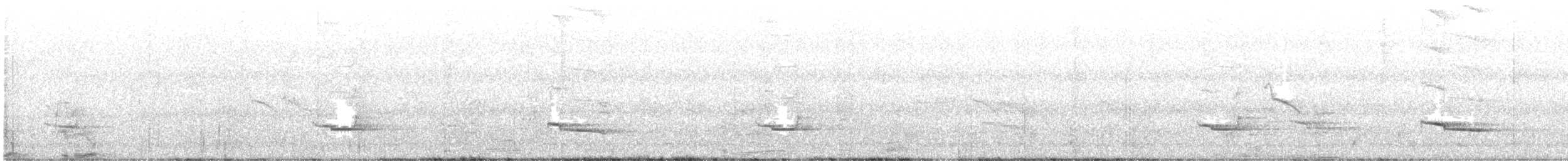 Silver-breasted Broadbill - ML631002630