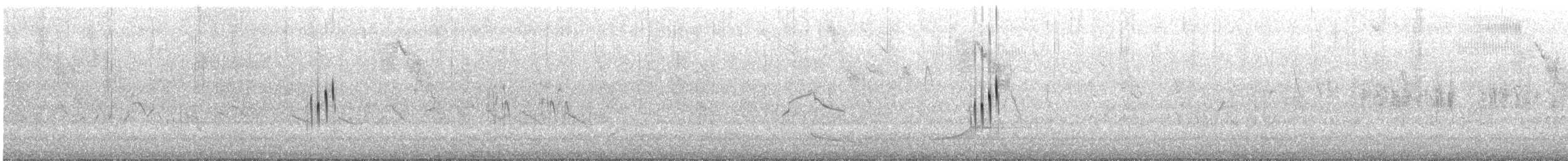 Weißbandschwalbe - ML631005870