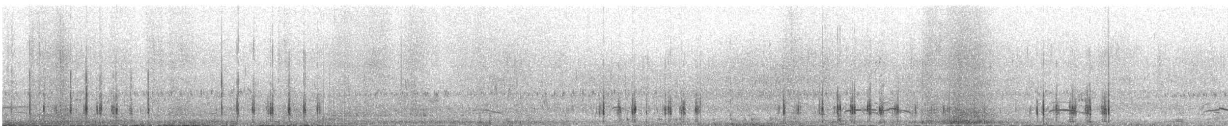 Малая морская чернеть - ML631007172