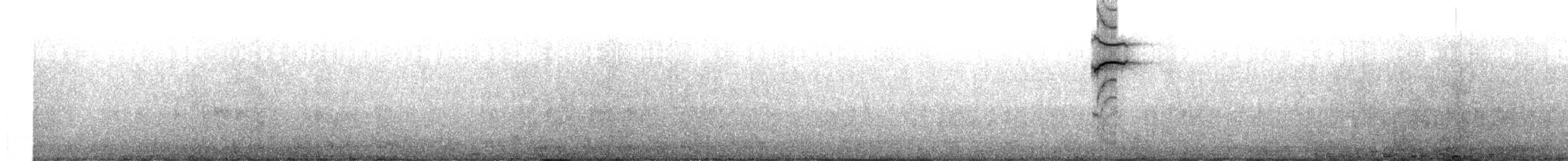 White-bellied Woodstar - ML631011239