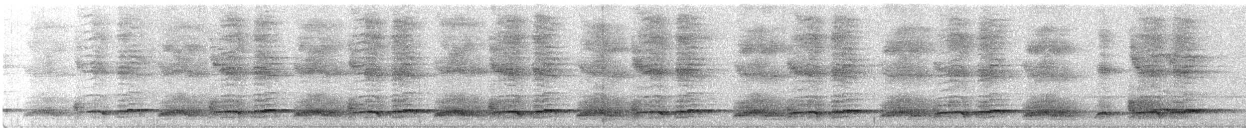 křepel černočelý - ML631018565