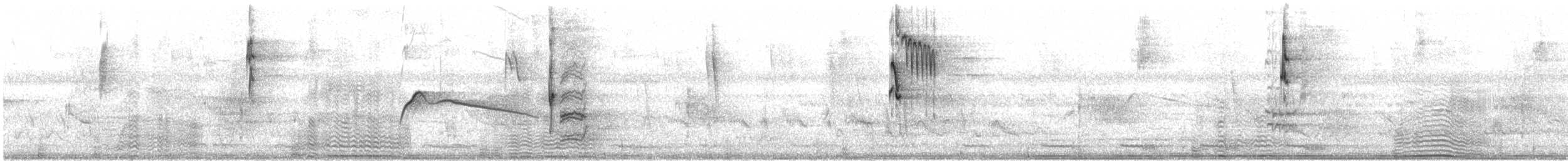 Moucherolle tête-fou - ML631018956