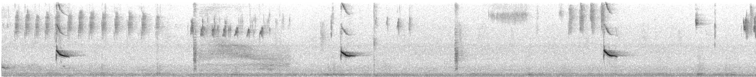 Quiscale violet - ML631019059