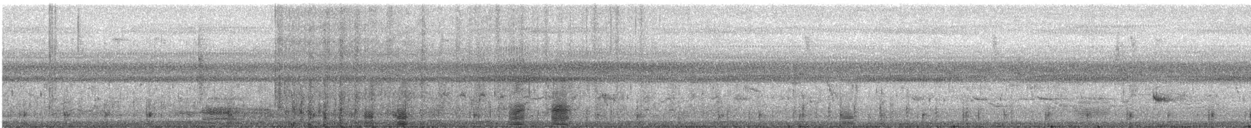 White Ibis - ML631019329