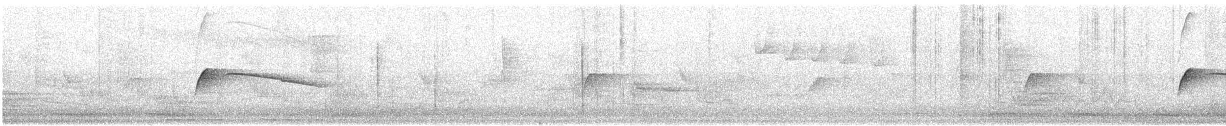 Moucherolle tête-fou - ML631019441