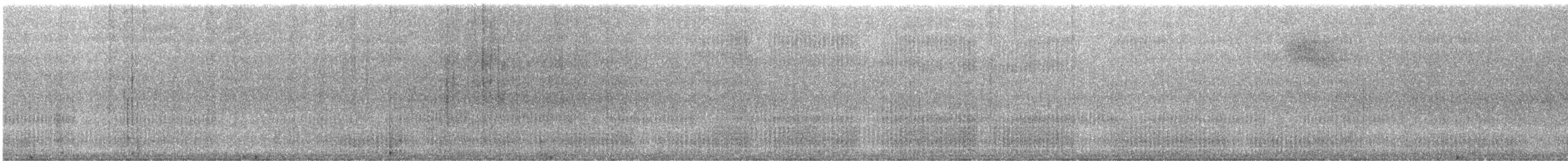 kubaspett - ML631019491