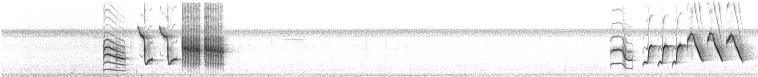 Zapata Wren - ML631019663
