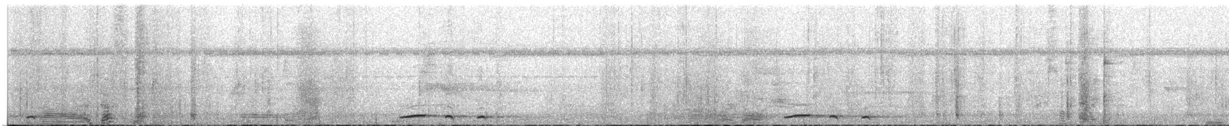 Dusky Pigeon - ML631021962