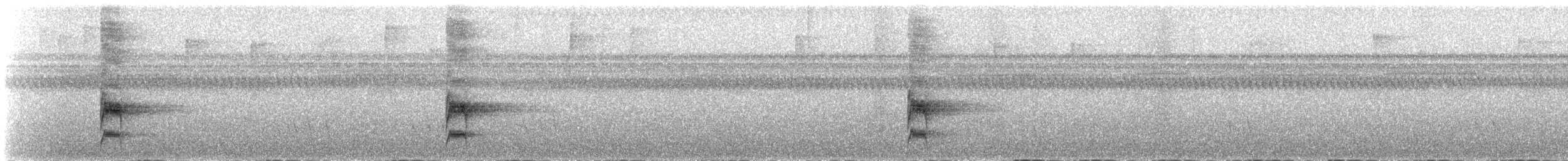 Western Woodhaunter - ML631022409