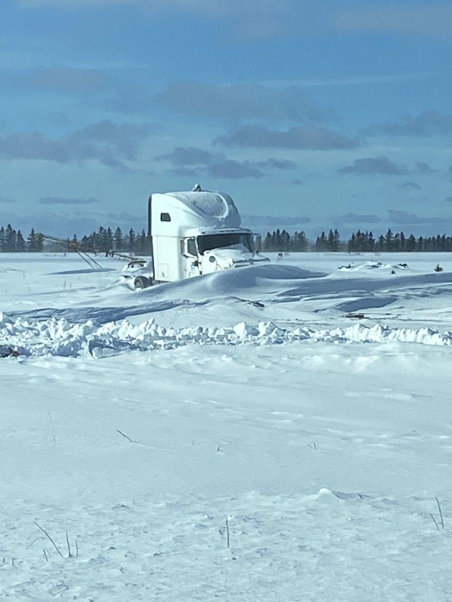Цэвдгийн ууль - ML631024866