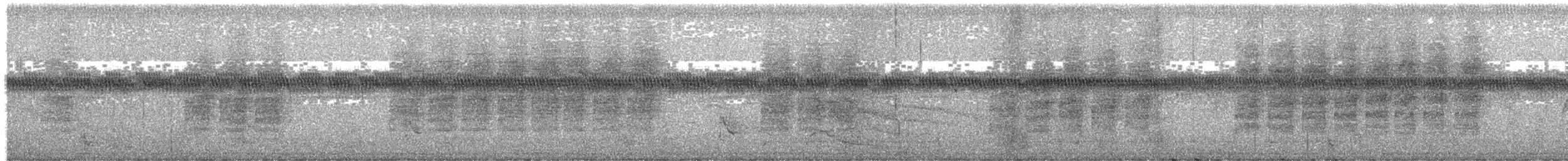 Karolina Çıtkuşu (albinucha/subfulvus) - ML631025873