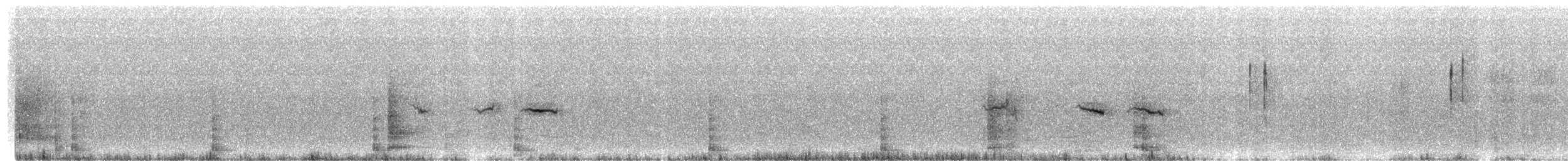 Короткохвостая цистикола - ML631026051