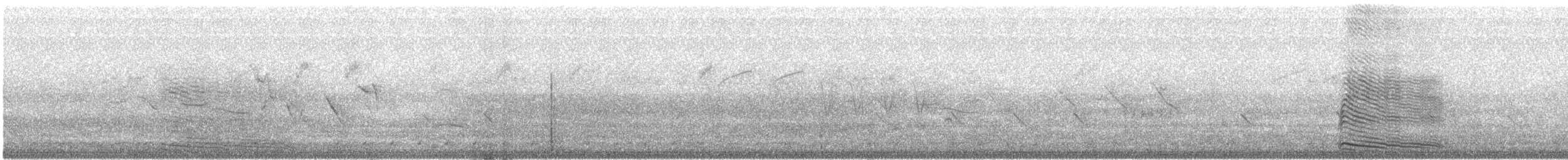 Gray Go-away-bird - ML631026251