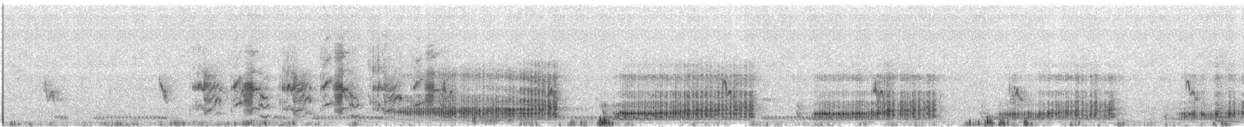 Swainson's Spurfowl - ML631026686