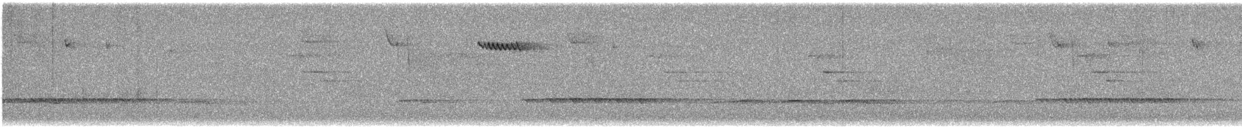 Amerikabaumläufer - ML631028962