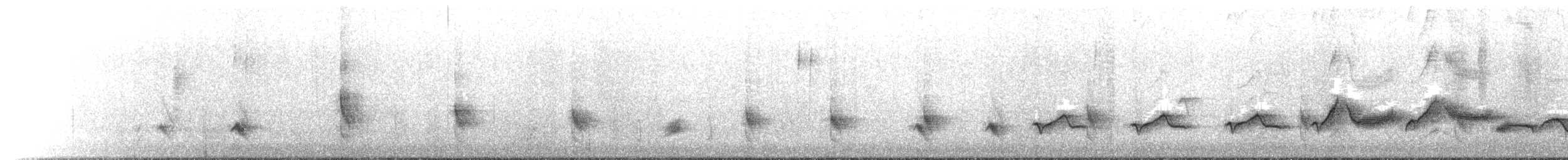 Chinese Hwamei - ML631039139