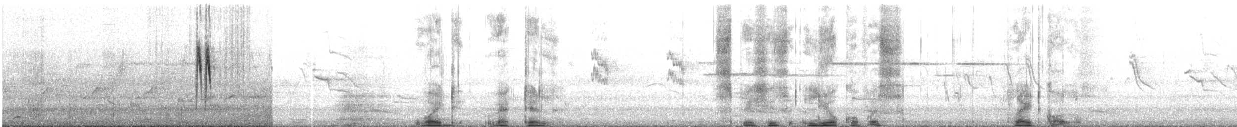 Белая трясогузка - ML631044311