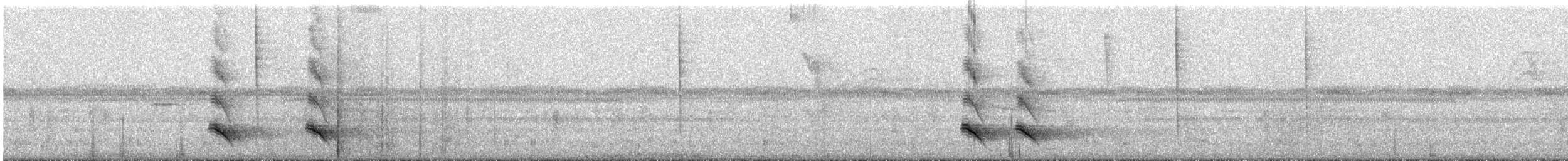 Black-chested Jay - ML631044851