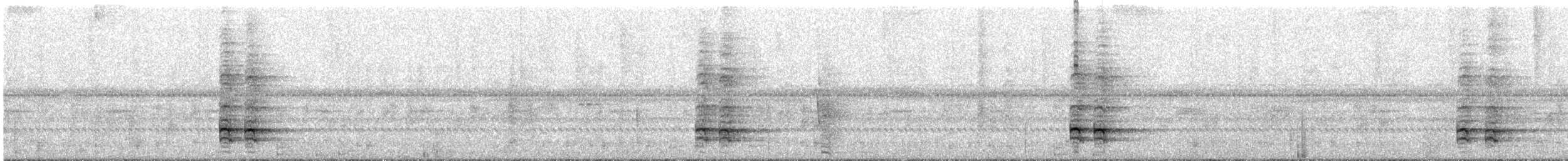 Black-chested Jay - ML631044856