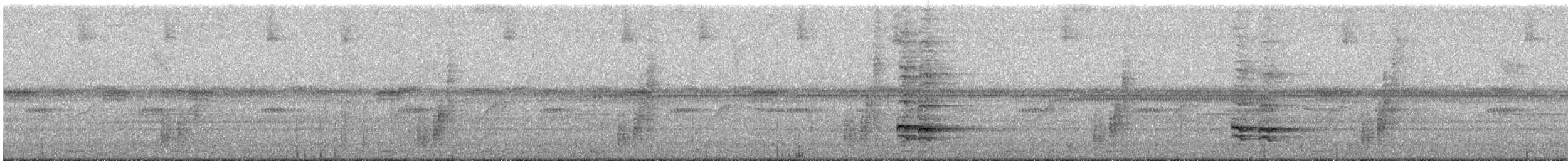 Black-chested Jay - ML631044859