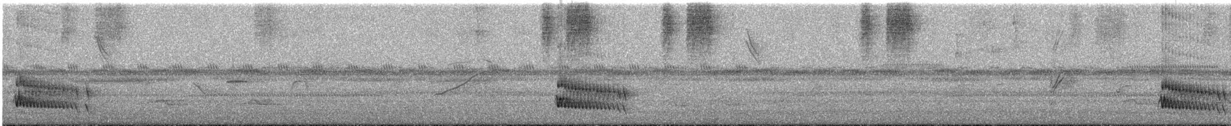 Collared Trogon - ML631045193