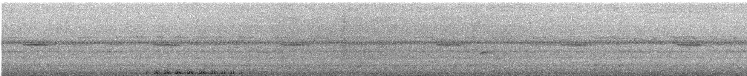 Band-bellied Owl - ML631050930