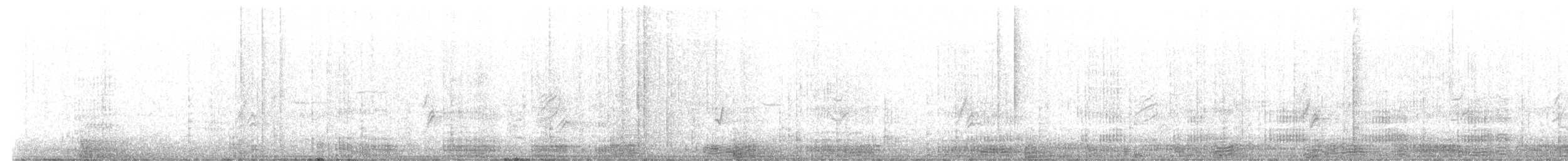Cormoran à aigrettes - ML631051031