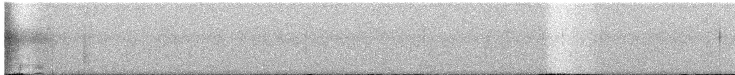 Unspotted Saw-whet Owl - ML631051433