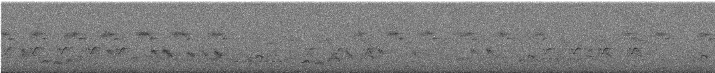 Prinia à sourcils - ML631052054