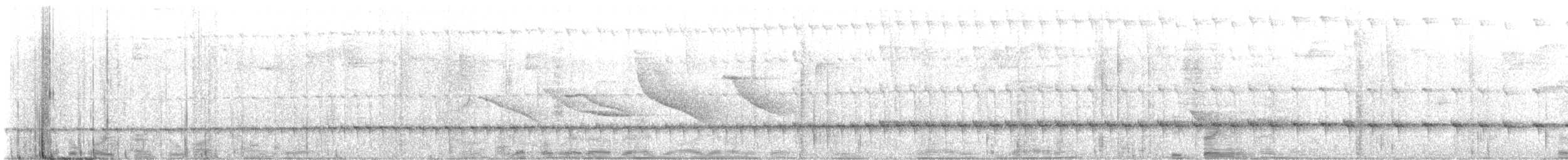Tyrannine Woodcreeper - ML631052716