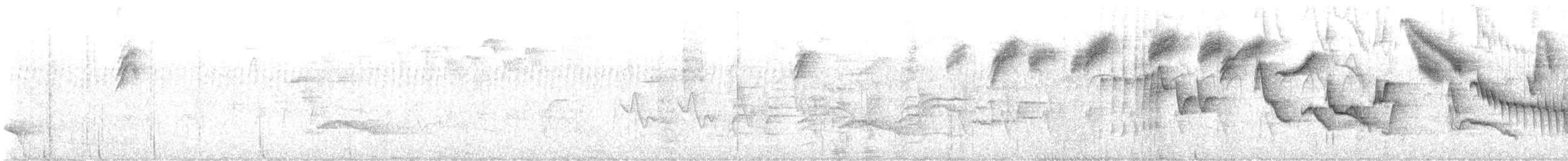 Tohi à nuque claire - ML631053884