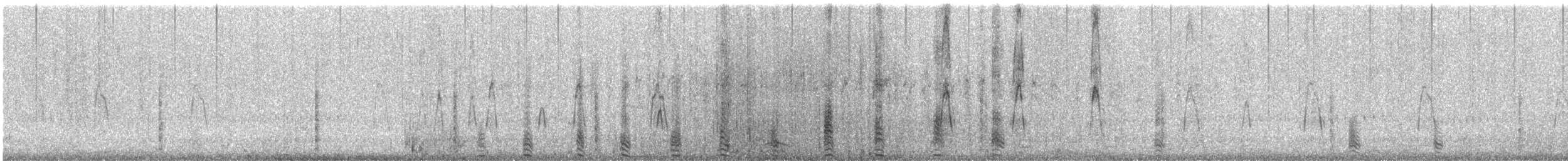 Marzaiola americana - ML631054398