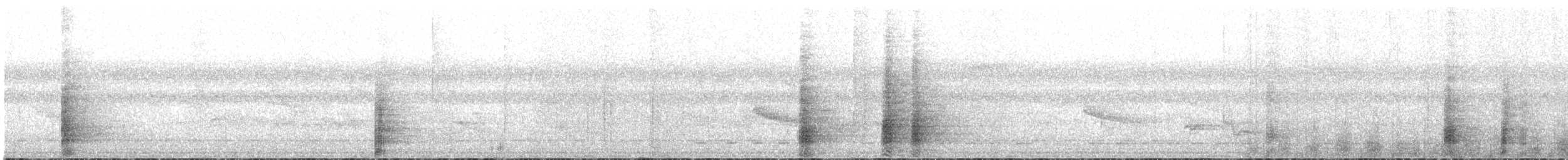 White-thighed Hornbill